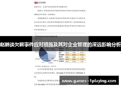 赵鹏谈欠薪事件应对措施及其对企业管理的深远影响分析