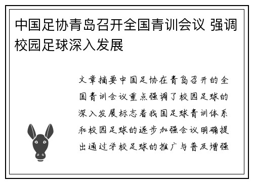 中国足协青岛召开全国青训会议 强调校园足球深入发展